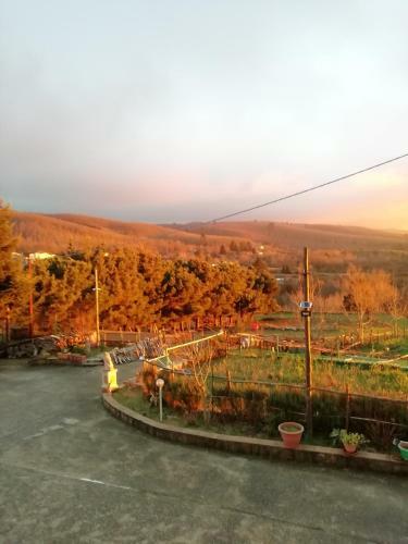 B&B Passo Del Falco