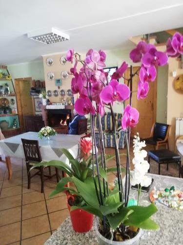 B&B Passo Del Falco