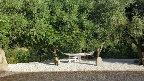 Casa Vacanza Centro Sardegna