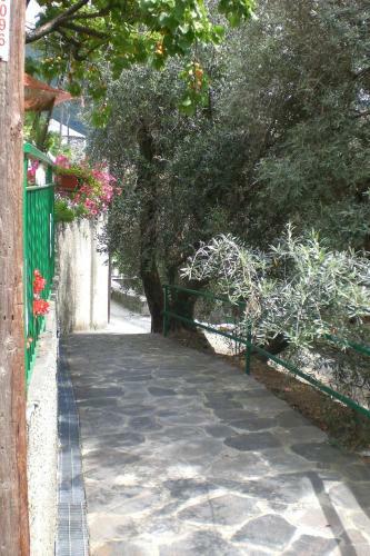 Casa Canepa