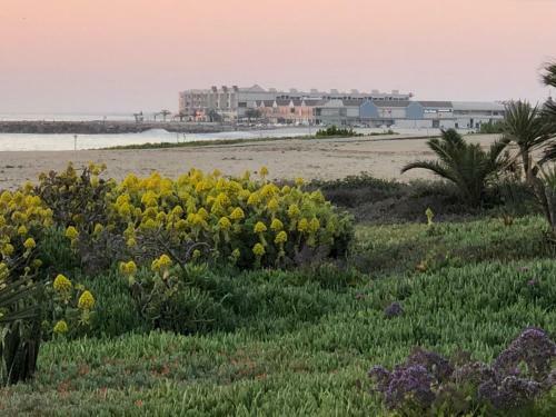 Quaint Seaside Cottage