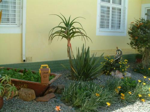 Bed & Breakfast Pension D'avignon