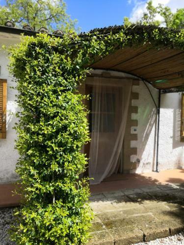 Maremma Country Chic