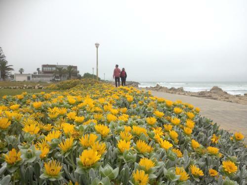 Apartamento Ocean Melody