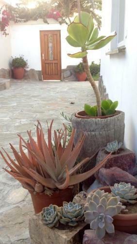 Apartamento Ocean Melody