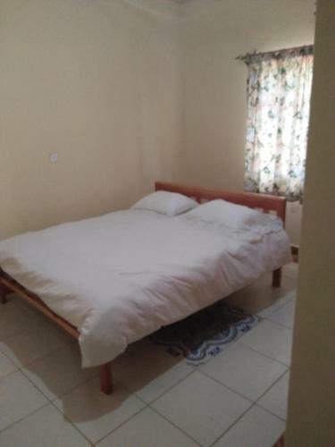 Mlima Kenya Holiday Homes