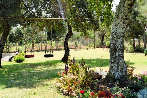 Ol Marei Home