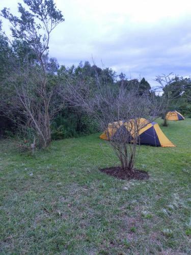 Mianzi Camp.