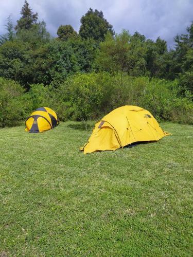 Mianzi Camp.
