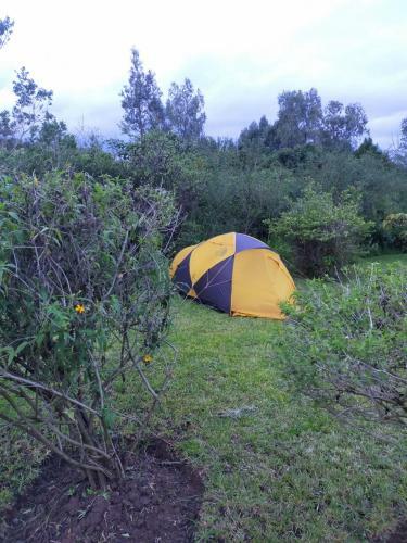 Mianzi Camp.