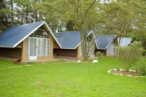 Mianzi Camp.