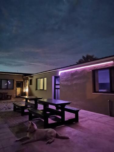 Hostal Desert Villa