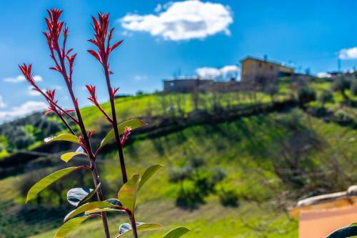 Bed & Breakfast La Casa Del Nonno