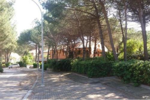 Apartamento Wohnung In Arboriamar