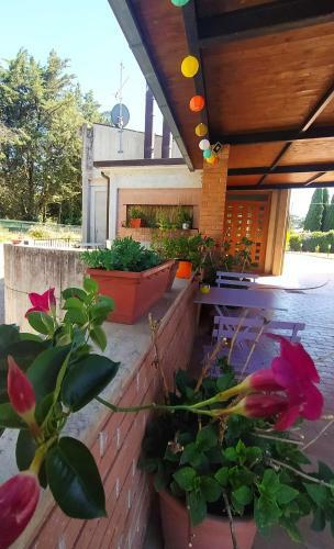 La Casa Di Spineto