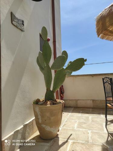 Villa Masseria Li Vecchi