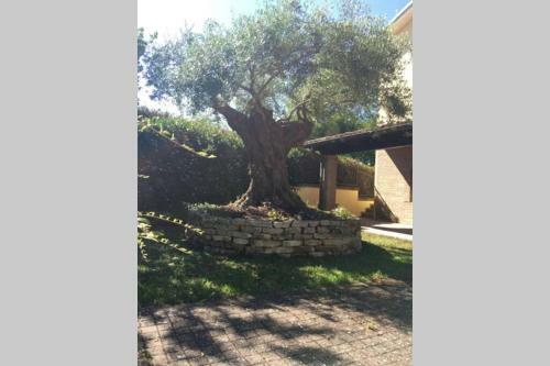 B&B Toncini Guesthouse