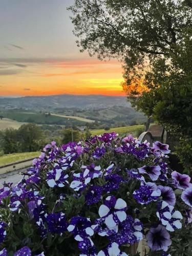 B&B Toncini Guesthouse