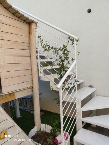 Hostal Albero Della Vita