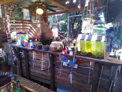 Xenia Bed & Breakfast