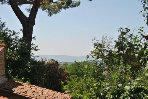 Apartamento Sienahomeandsailing 2