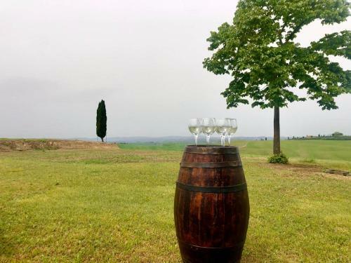 Podere Il Granaio - Crete Senesi - Tuscany