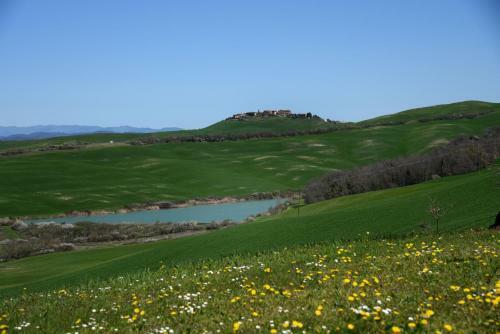 Podere Il Granaio - Crete Senesi - Tuscany