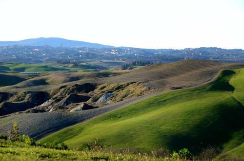 Podere Il Granaio - Crete Senesi - Tuscany