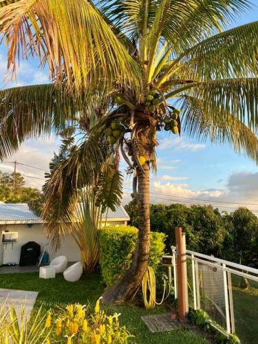 Bed & Breakfast Villa Belle Vue, Chambre Bambous