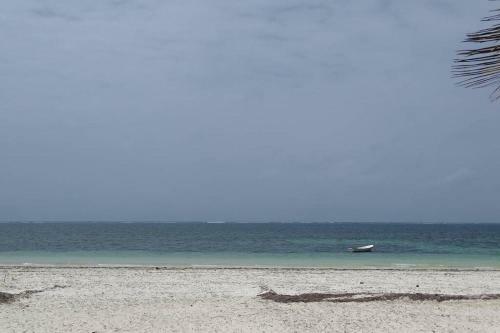Apartamento Cowrie Beach Haven Studio