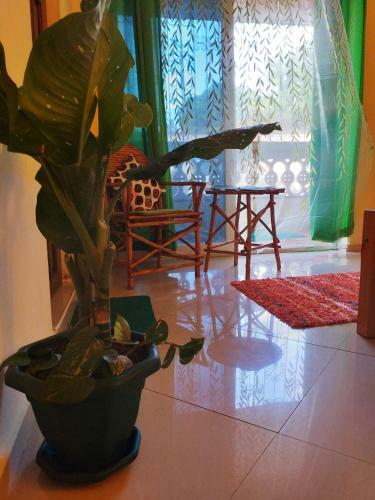 Apartamento Kijani Studio