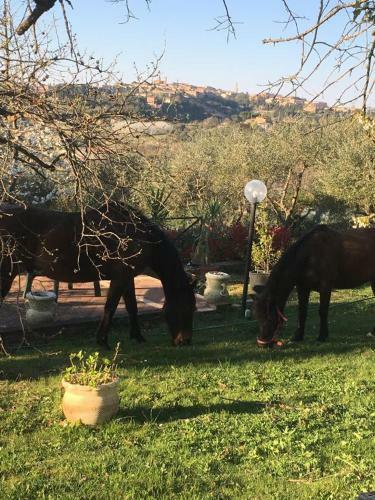 Apartamento Panorama Di Siena