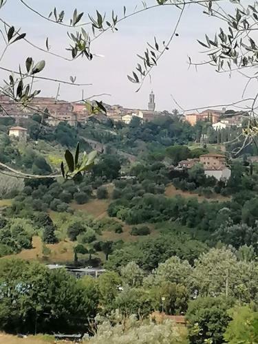 Apartamento Panorama Di Siena
