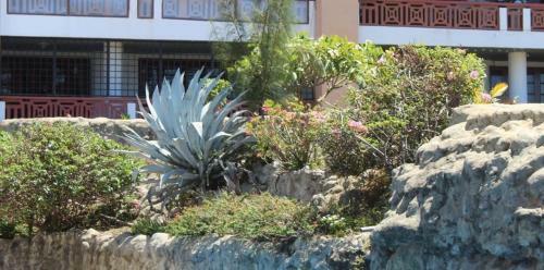 Stayplus Shanzu Beachfront Apartment