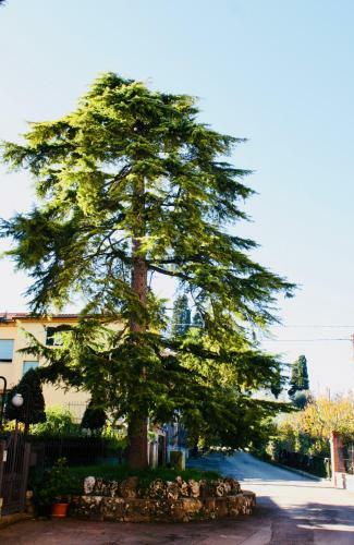 Apartamento La Torre Di Caprera