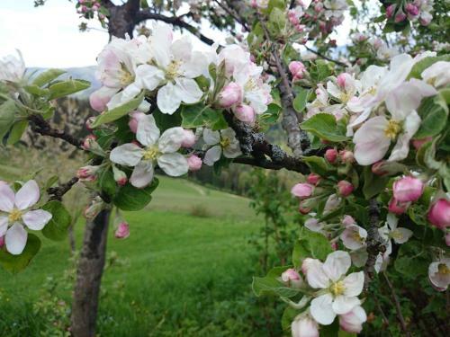 Agroturismo Bio-bauernhof Kurzeck