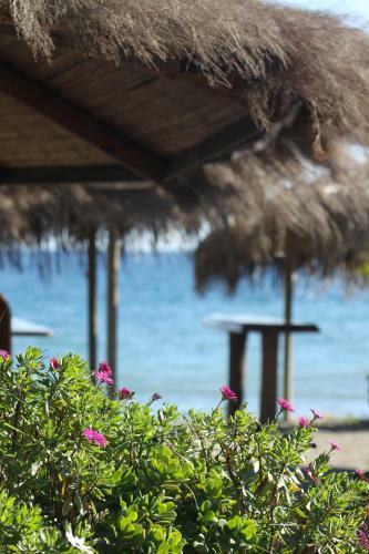 Apartamento Banus Lodge