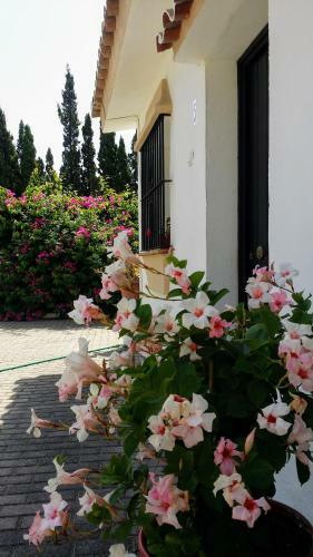 Apartamento Banus Lodge