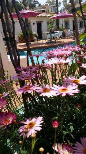 Apartamento Banus Lodge