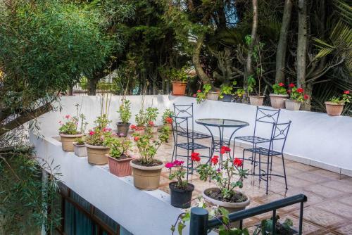 Hotel Hostal Andaluc�a