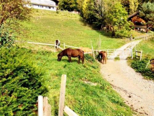 Hostal Hotel Garni Brigitte