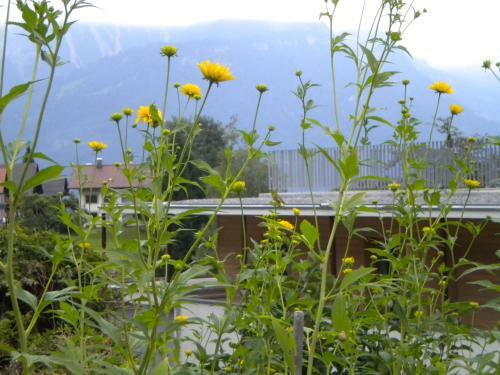 Hostal Hotel Garni Brigitte