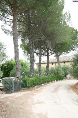 Podere Piazza Siena