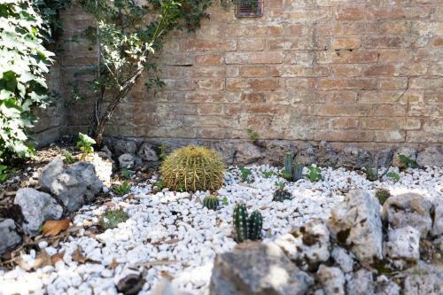Apartamento Villa Bonelli
