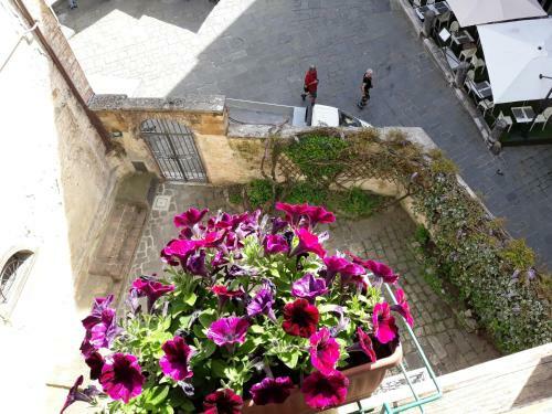 Apartamento Appartamento Simonetta