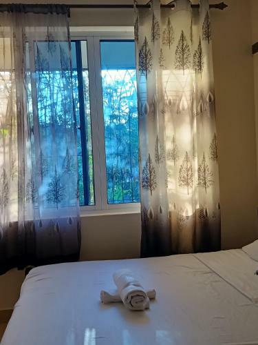 Mkombodzi Studio Apartment