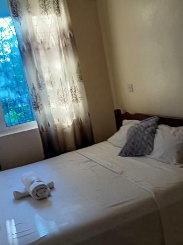 Mkombodzi Studio Apartment