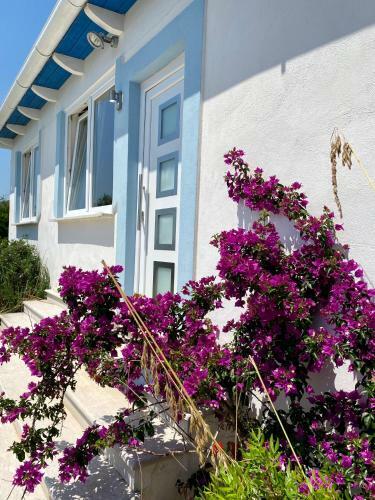 Hotel Casamediterranea