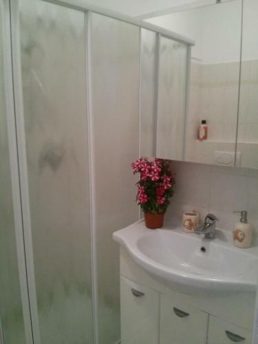 Apartamento Il Nido Del Cigno