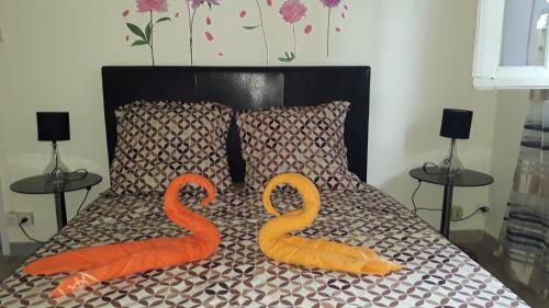 Villa Madyna